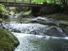 �Ƃ�Ƃ񂳂�̏����Y���������ւ̓��e�ʐ^1