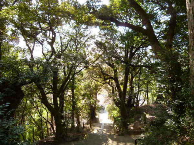 oto-chann̐̒ŗёp̓eʐ^1