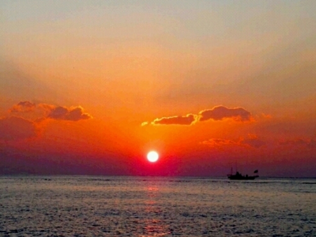 jR񂳂̌K̕lC̓eʐ^1