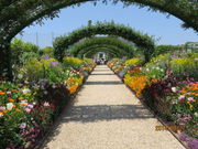 LE񂳂̕l΃K[fp[N̓eʐ^1