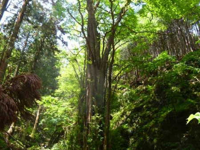 oto-chann̉hR̐{̓eʐ^1