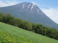 �݁[����̍����q��j�Z�R�~���N�H�[�ւ̓��e�ʐ^1