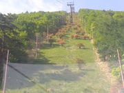 ݂q[񂳂̐YR[vEFC̓eʐ^1