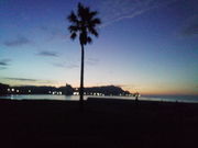 ���ɂ�񂳂�̖�ԍ铔��̓��e�ʐ^1