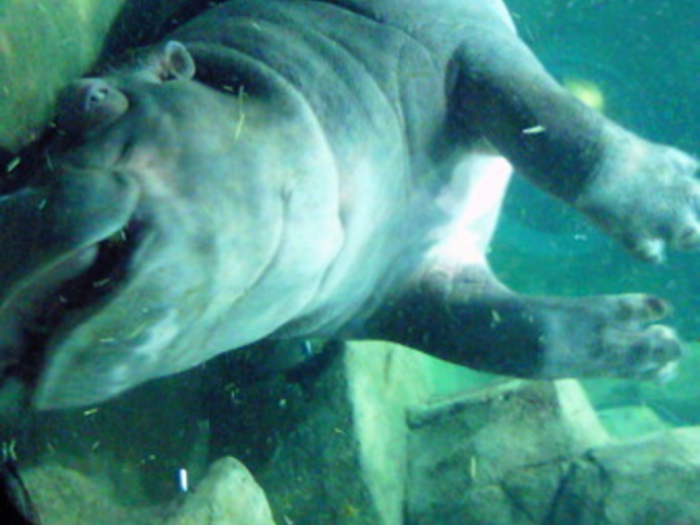 ���R������