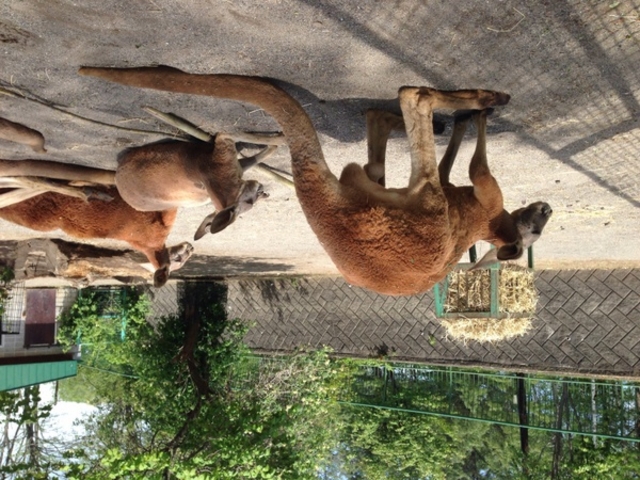 ���тЂ듮����