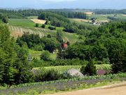 ܂܂􂳂̐[RW]̓eʐ^1