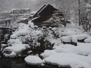 ɂ񂳂̕쉷@t̓eʐ^1