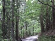 nCCA^J̋X@xq@̓eʐ^1