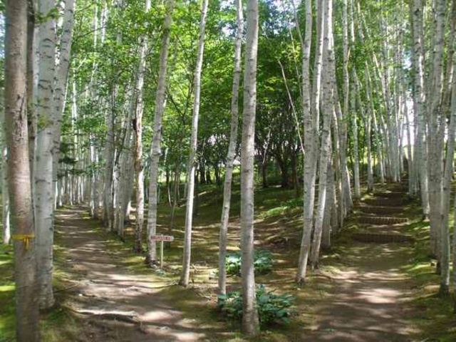 ���c����