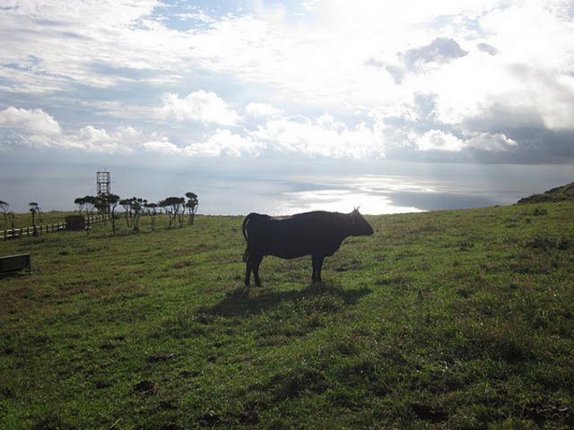 �ӂꂠ���q��W�]��