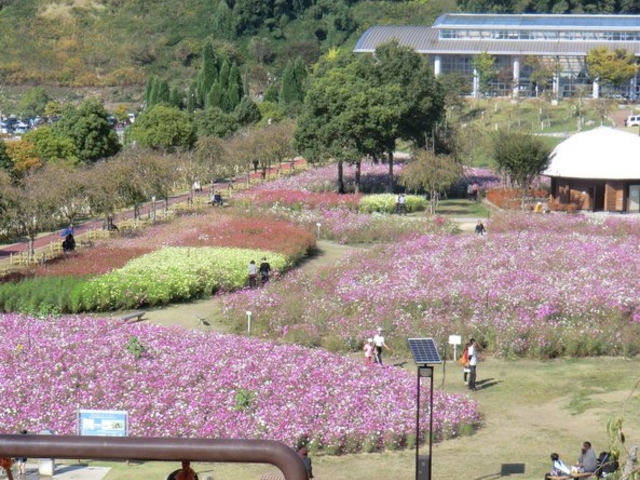 下松スポーツ公園 コスモス アクセス 営業時間 料金情報 じゃらんnet