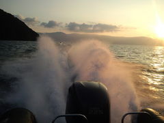 [L̃Oh@RIB Tripւ̓eʐ^1