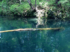 ӂ̃Oh@RIB Tripւ̓eʐ^1