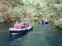 S񂳂̃Oh@RIB Tripւ̓eʐ^1