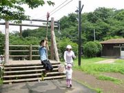 ger531̑ٓV̐X̓eʐ^1