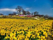 ̂̐MBۉỹXCZ̓eʐ^1