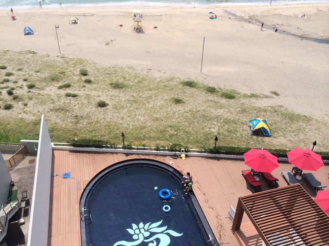 �^�ォ��ł���_��h�C��