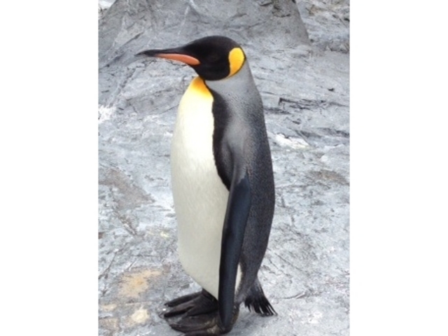 ���R������