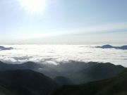 ibokororȉƃGR[CiƊxj̓eʐ^1