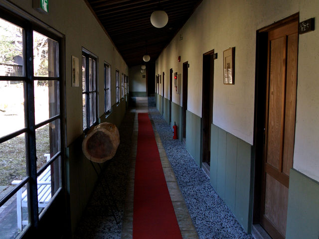 �L��
�f�������͖w�ǐl�Ɖ�܂���ł����B_�W�q����