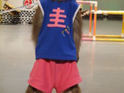 Ȃ̉͌Ή܂킵̓eʐ^1