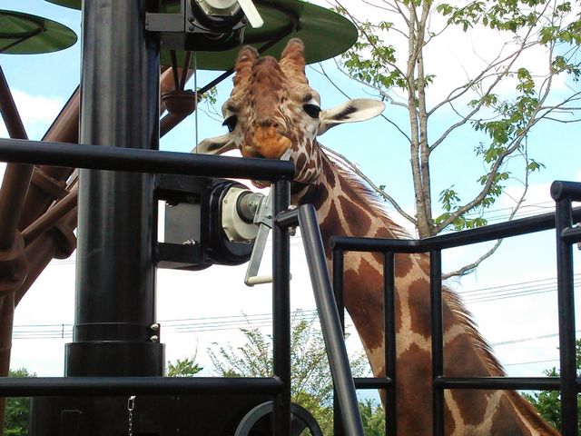 �L�����Ɠ����ڐ��B_���R������