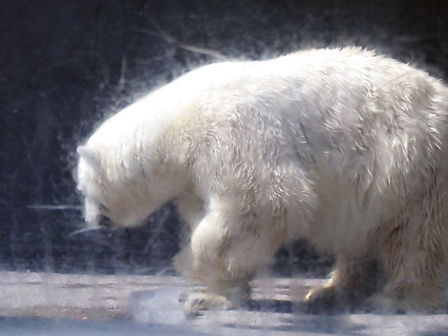 �n�ʂ̌�����̔����܊ώ@�B_���R������