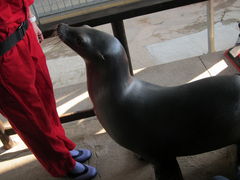 񂳂̐EW ANAggӂւ̓eʐ^1