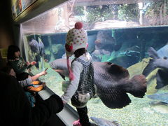 񂳂̐EW ANAggӂւ̓eʐ^2