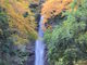 れもんさんの養老の滝（岐阜県養老町）への投稿写真2