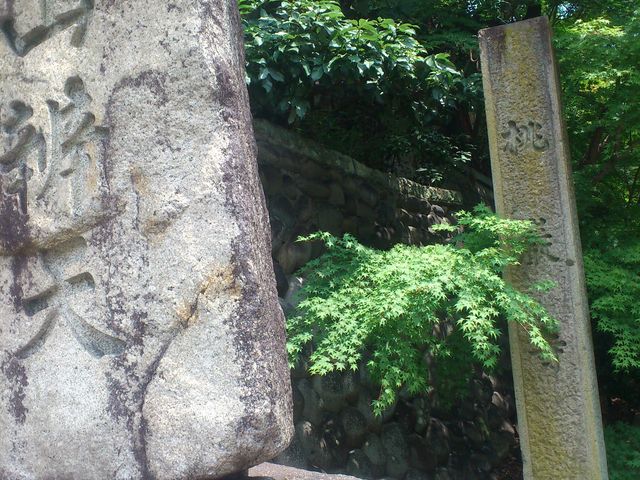 �����_���ގ�