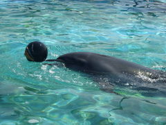 hyoi̓mr[`h&mቤւ̓eʐ^1