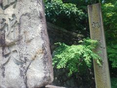 ���ގ��̎ʐ^1