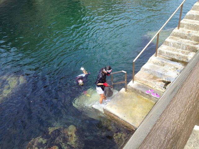 �k���̊C�����񂽂�_�����C���Z���^�[