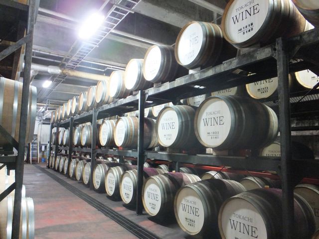 wR[Xɂ͂̃C̒M܂_rcC