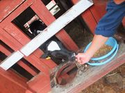 dios̃Jg[t@[}[Ycq̓eʐ^1