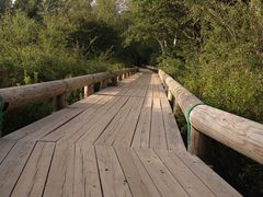 ��ꃖ���̎ʐ^2