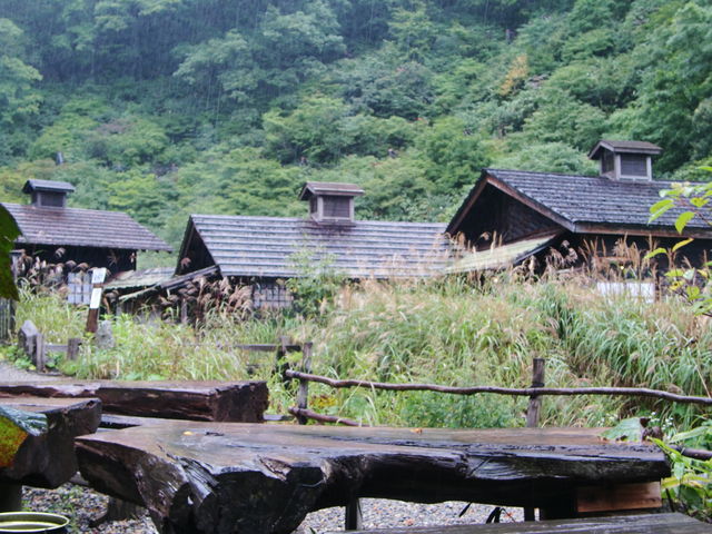 IVCɏɂ͏HvƂłˁB̓ɒjāAłB_߂̓