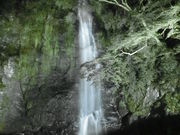 maaaya19̖̐Xʍiʂ̑j̓eʐ^3