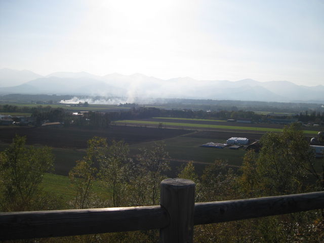 �����p�m���}�p�[�N