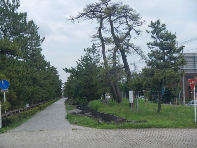 ������_���������V����