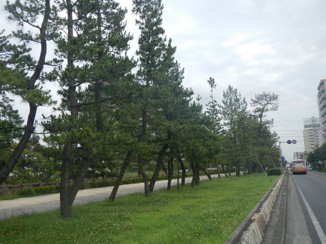 ���������V����