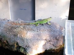 kako̓Ȗ،Ȃ퐅Vւ̓eʐ^1