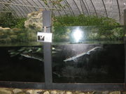 ecِ̏̊X̐ق̓eʐ^4