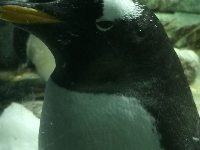 �y���M��_�C�V��