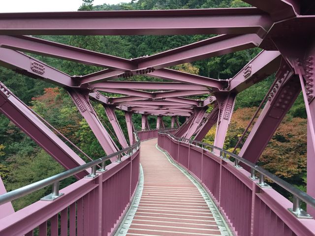 �l������Ȃɋ��Ȃ��̂ł�����茩�邱�Ƃ��o����̂ŃI�X�X���ł�_����Ƃ�͂�