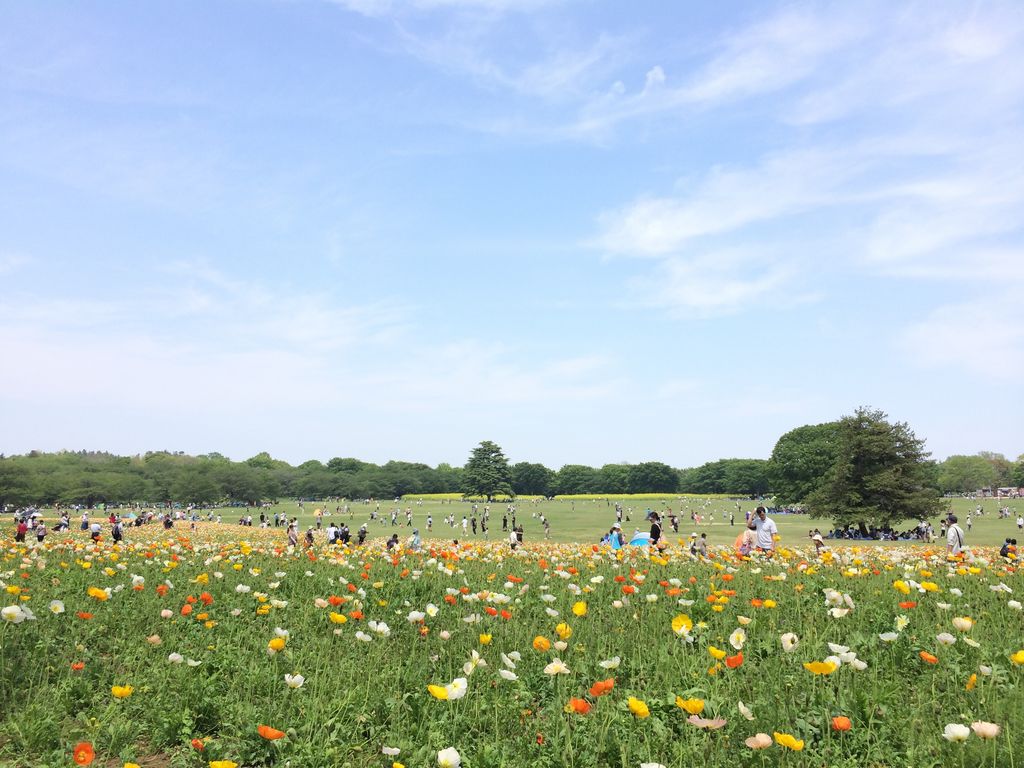 国営昭和記念公園