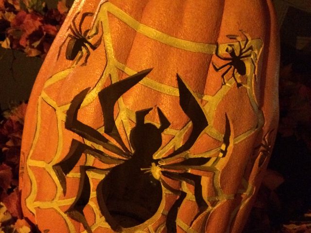 ���ڂ���_�����f�B�Y�j�[�V�[(R)