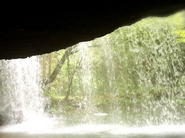 �烖������@�@���E�F�u����̎��O�\�񐧂ɂ������ƂȂ��Ă���܂��B